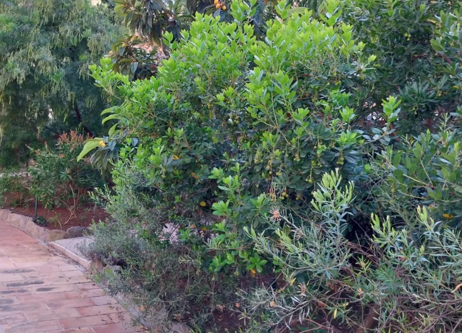 T1 Lavandou La Faviere En Rez De Jardin Bord De Mer Bormes-les-Mimosas